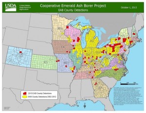 2013 County EAB Detection Map
