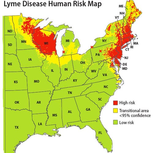 Courtesy of American Lyme Disease Foundation