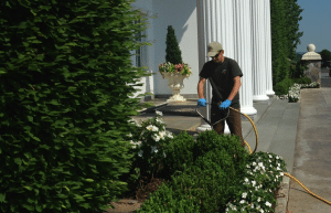 Shrub treatment by OPC at Trump National Golf Course