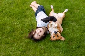 Boy and dog cuddling on a green organic tick-free lawn.