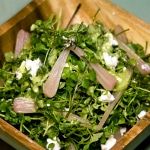 Bittercress adds a peppery accent to salads