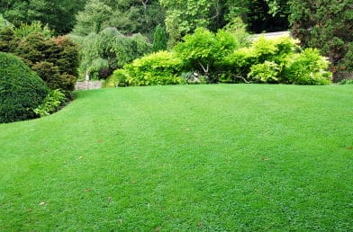 lawn and shrub bed462x260