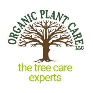 the-tree-care-experts