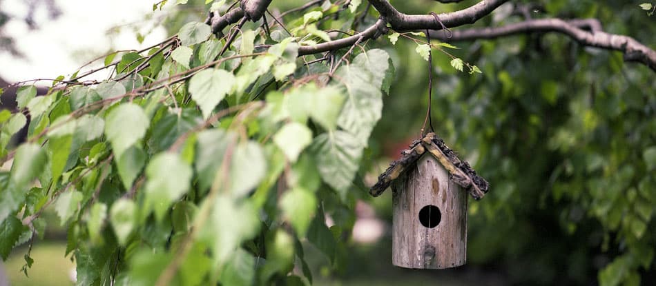 a birdhouse hangs from a tree branch in the summer, green leaves from the tree are in the foreground