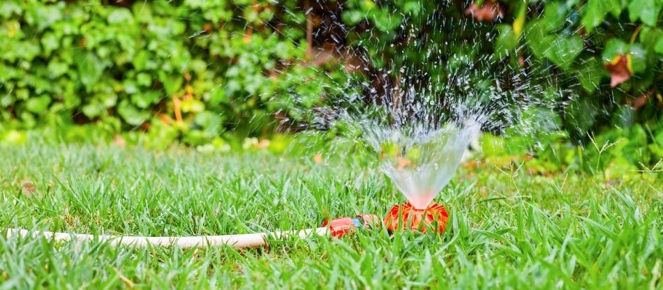 A sprinkler spurts up a cone of water on a healthy green lawn with other green plants in the background.